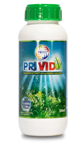 PRIVID SEAWEED EXTRACT (GROWTH PROMOTER)