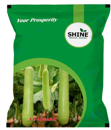 SHINE BOTTLE GOURD APSARA F1 SEEDS
