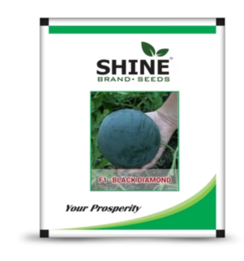 SHINE WATER MELON BLACK DIAMOND F1 HYBRID SEEDS