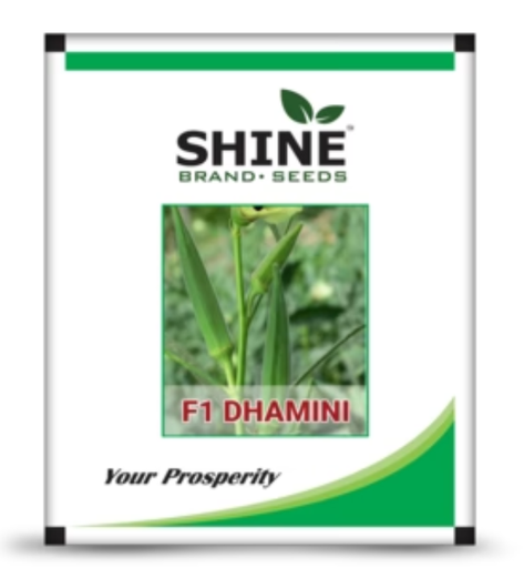 शाइन भिंडी धामिनी F1 संकर बीज