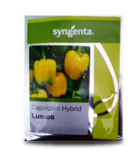 LUMOS CAPSICUM SEEDS