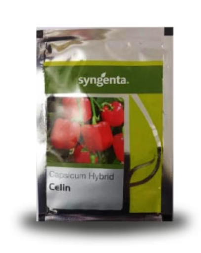 CELIN CAPSICUM