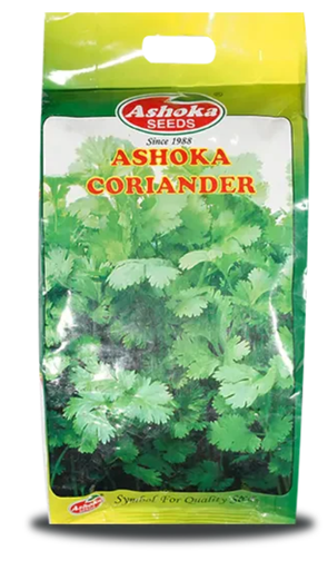 Late Bolting Coriander Seeds