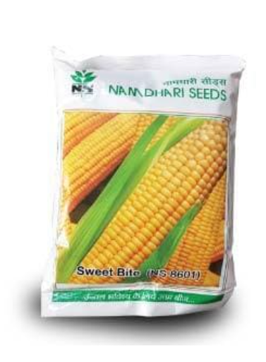NS 8601 SWEET CORN