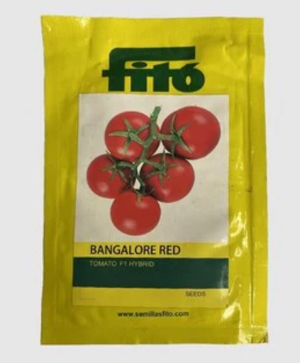 BANGALORE RED TOMATO