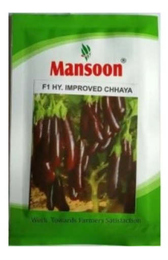 मानसून बैंगन छैया उन्नत बीज