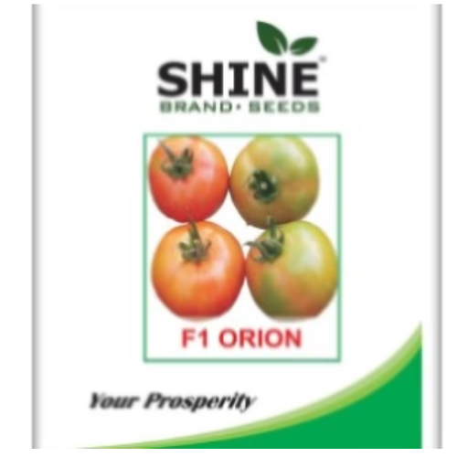 షైన్ ఓరియన్ F1 హైబ్రిడ్ టొమాటో విత్తనాలు