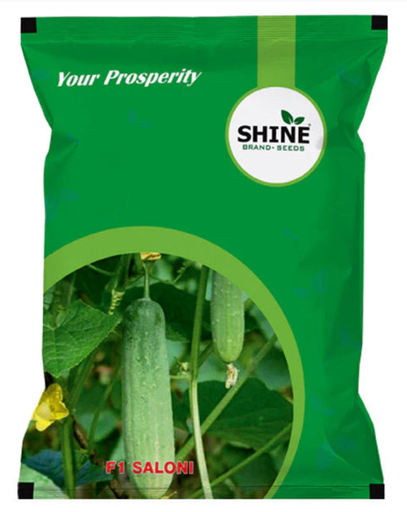 SHINE CUCUMBER SALONI F1 HYBRID SEEDS