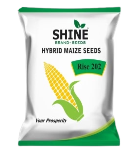 RISE AGRO RISE-202 SHINE HYBRID MAIZE SEEDS