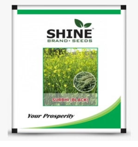 SURBHI BLACK MUSTARD SEEDS