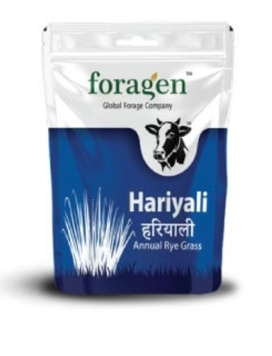HARIYALI - FORAGE