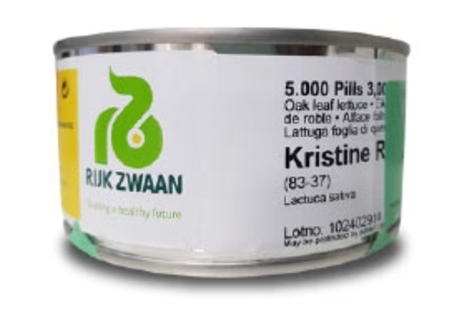 KRISTINE RZ (83-37) OAK LETTUCE