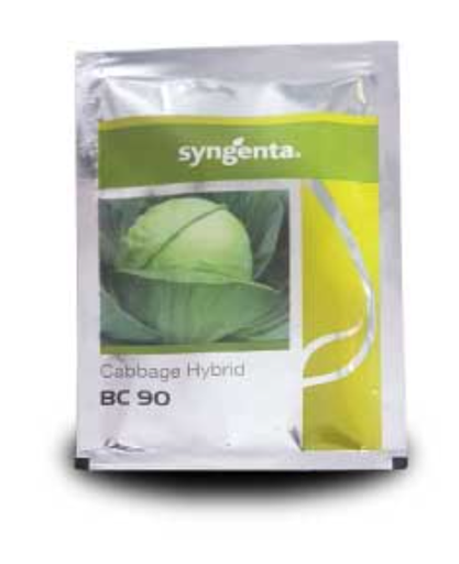 BC 90 CABBAGE