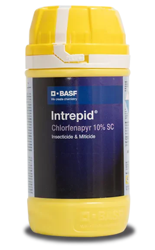 Intrepid Insecticide – Chlorfenapyr 10% SC for Pest Control in Chilli & Cabbage