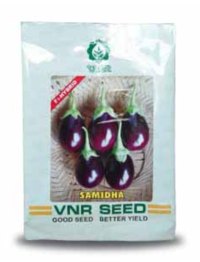 Samidha F1 Hybrid Brinjal Seeds