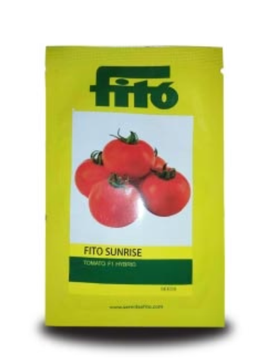 SUNRISE TOMATO