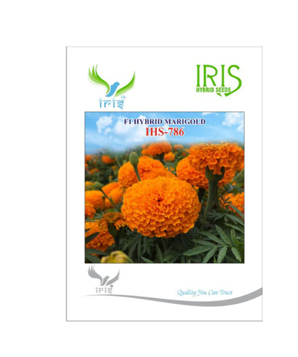 Iris Marigold Orange IHS-786 F1 Hybrid Seeds – High Yield