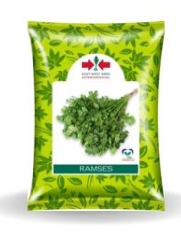 RAMSES CORIANDER SEEDS