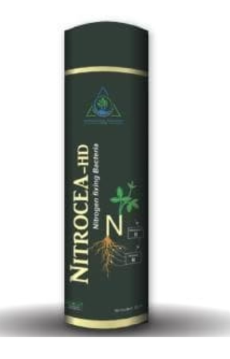 NITROCEA - HD (NITROGEN FIXING BACTERIAL BIO-FERTILIZER)