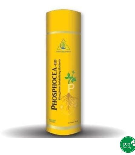 PHOSPHOCEA-HD (PHOSPHATE SOLUBILISING BACTERIAL BIO FERTILIZER)