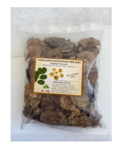 PIONEER AGRO PTEROCARPUS MARSUPIUM (VENGAI) TREE SEED
