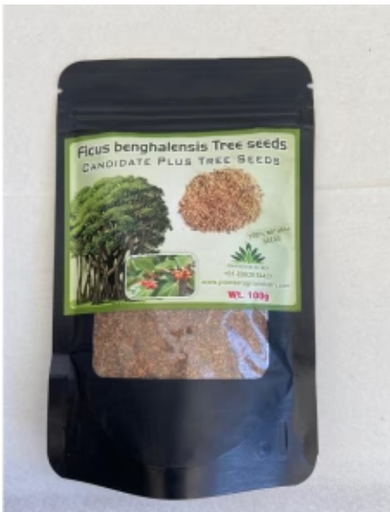 PIONEER AGRO BANYAN TREE SEEDS