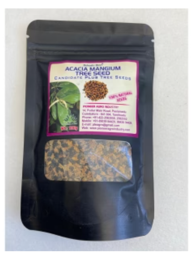 PIONEER AGRO ACACIA MANGIUM (SEED)