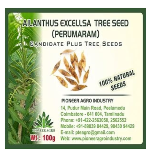 PIONEER AGRO AILANTHUS EXCELLSA (PERUMARAM) TREE SEED