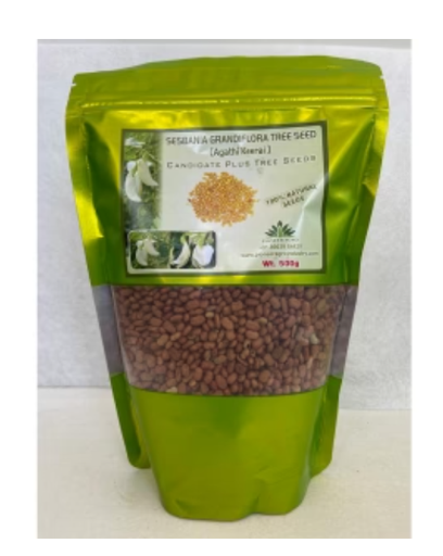 PIONEER AGRO SESBANIA GRANDIFORA (AGATHI) TREE SEEDS