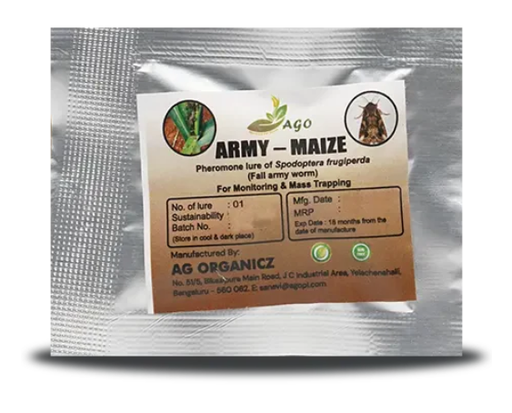 ARMY-MAIZE LURE (FALL ARMY WORM)