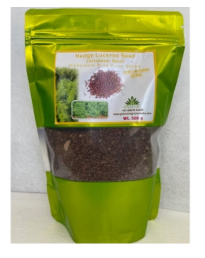 PIONEER AGRO HUDGE LUCERNE (VELIMASAL) SEED