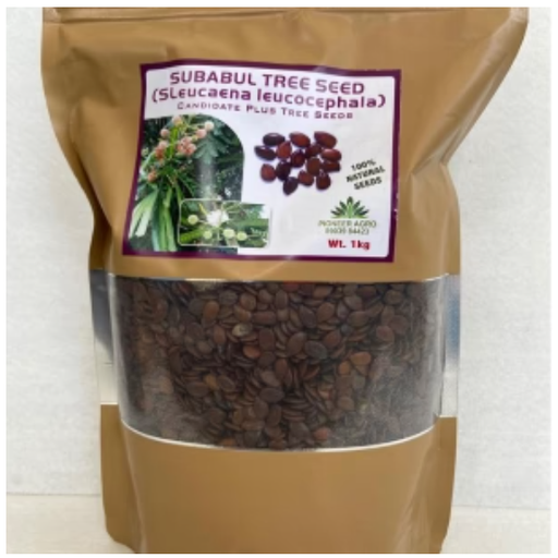 PIONEER AGRO SUBABUL TREE SEED (SLEUCAENA LEUCOCEPHALA)
