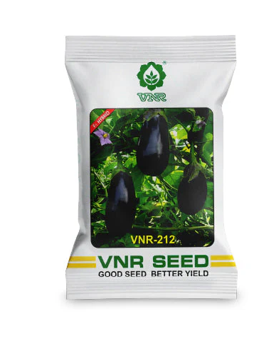212 F1 Hybrid Brinjal Seeds