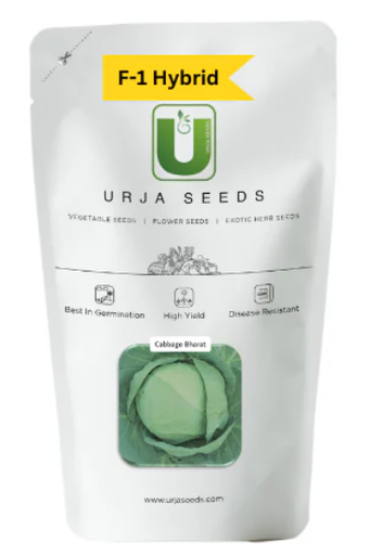 URJA BHARAT - CABBAGE F-1 HYBRID SEEDS