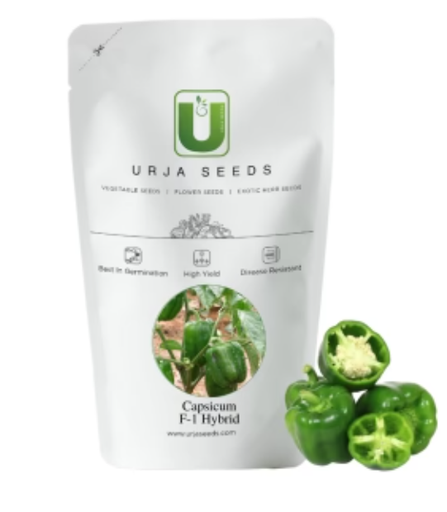 URJA DISCOVER - CAPSICUM SEEDS