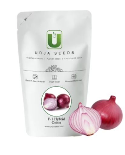 URJA RED COSMO ONION SEEDS