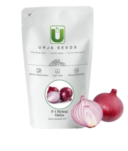 URJA KALYANI - ONION SEEDS