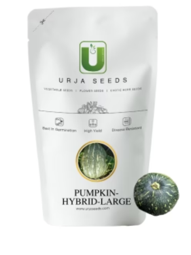 URJA US-101 - PUMPKIN F-1 HYBRID SEEDS (LARGE)