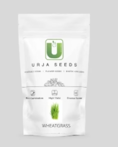 URJA WHEAT GRASS
