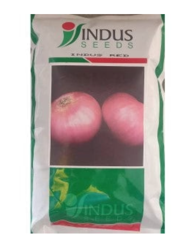 INDUS ONION INDUS RED