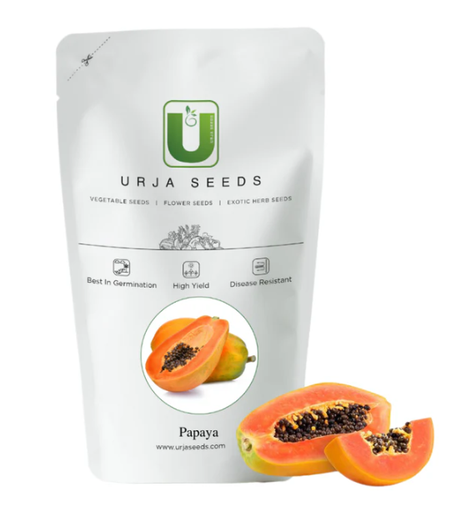 Urja Madhuri Papaya Seeds