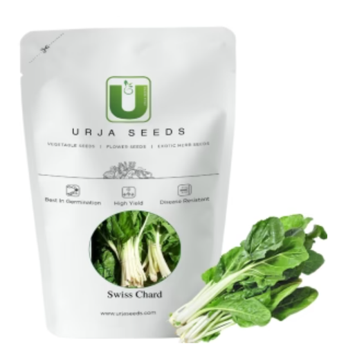URJA SUPER GREEN (IND.) SWISS CHARD SEEDS