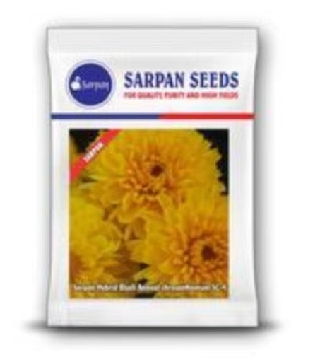 SARPAN HYBRID CHRYSANTHEMUM (BIJALI YELLOW) SEEDS