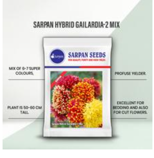 SARPAN HYBRID GAILARDIA - 2 MIX