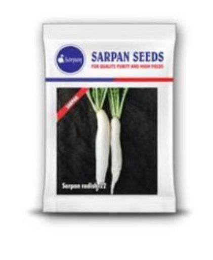 SARPAN RADISH - 22