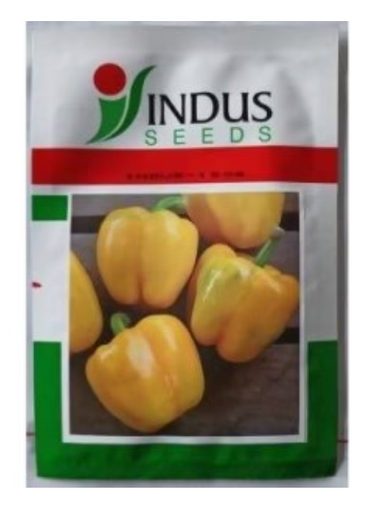 INDUS CAPSICUM 1504 HYBRID YELLOW SEEDS (SHIMLA MIRCH)