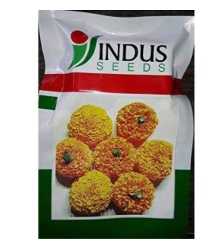 INDUS MARIGOLD PUSHPARAJ ORANGE SEEDS