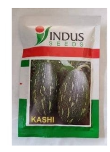 KASHI PUMPKIN SEEDS