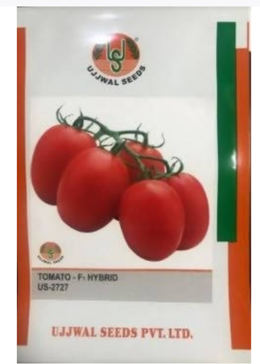 UJJWAL TOMATO US 2727 F1 HYBRID SEEDS