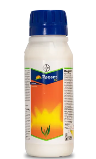 Regent SC Insecticide